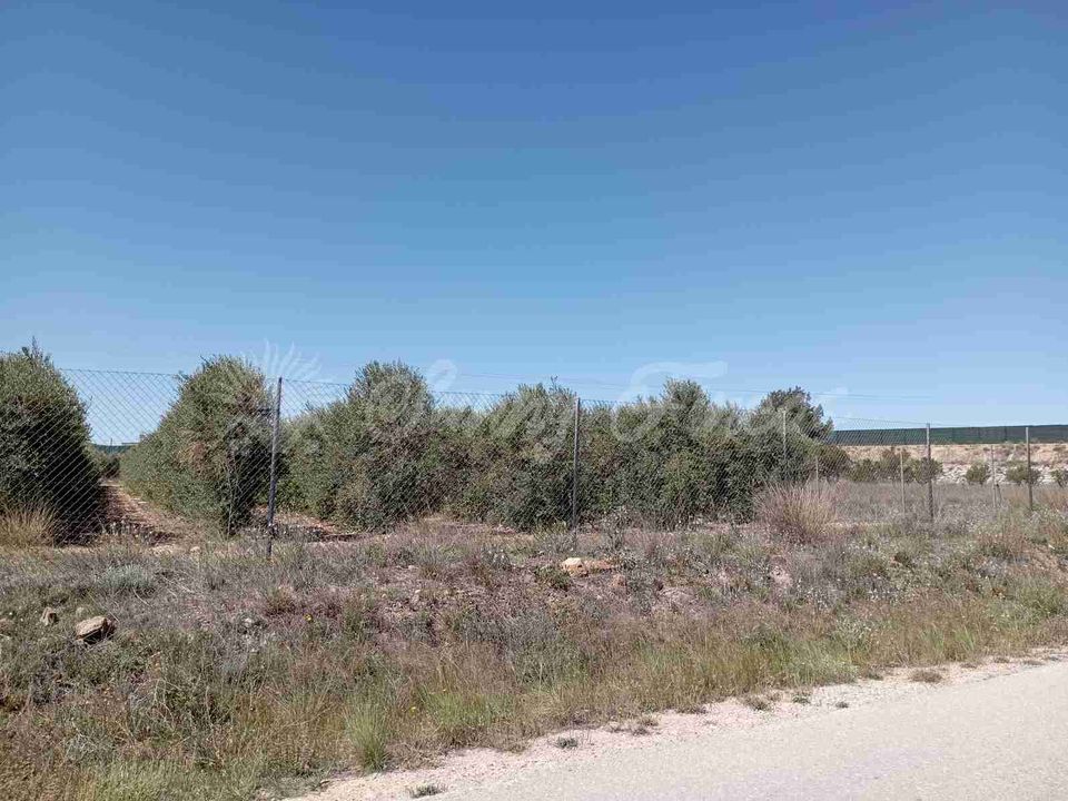 Tomt i Caudete, Albacete - bilde 5